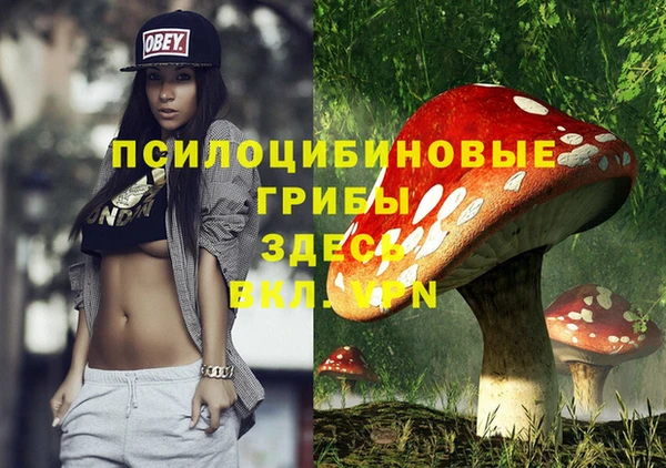 mix Алексеевка