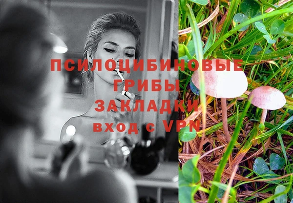 бошки Алексин