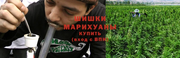 твердый Алзамай