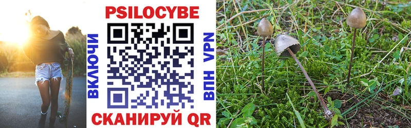 Галлюциногенные грибы GOLDEN TEACHER  купить закладку  Сасово 